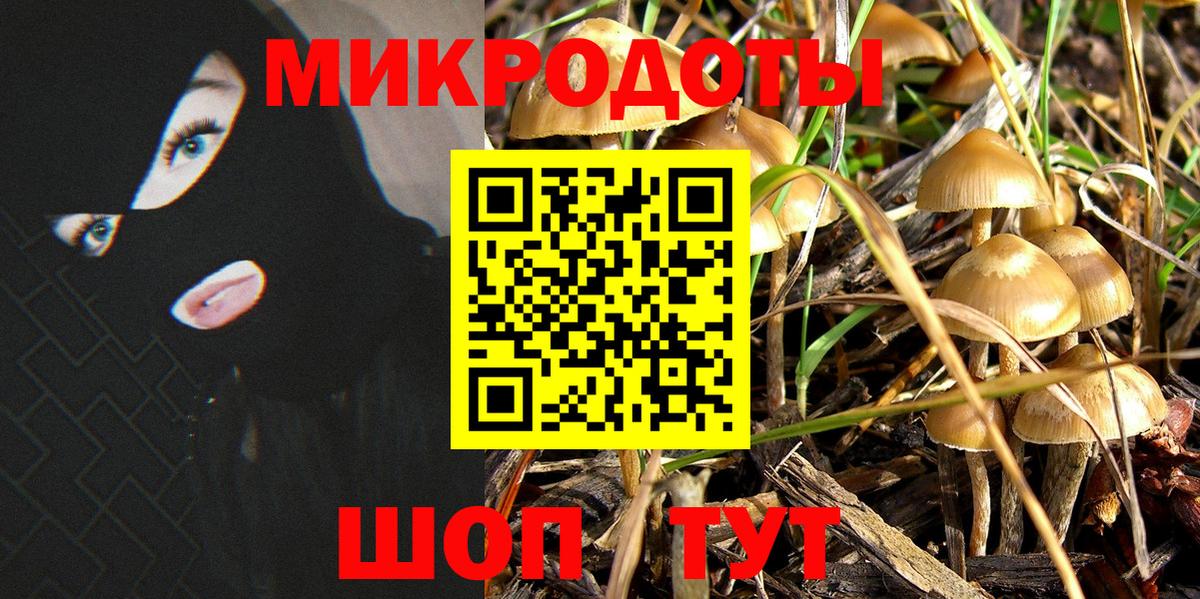 Зеленодольск  купить   Галлюциногенные грибы GOLDEN TEACHER  Вход с VPN  Галлюциногенные грибы ЛСД 